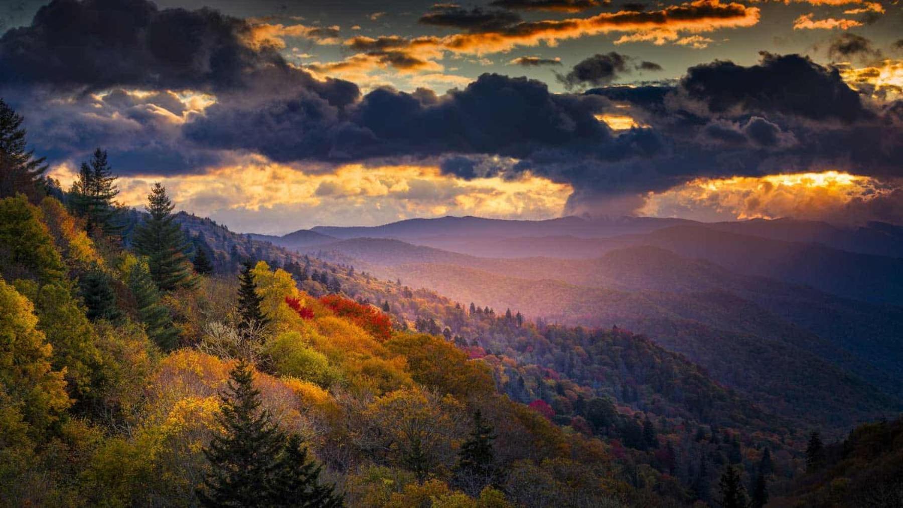 Dogwood Boutique Motel Maggie Valley Dış mekan fotoğraf